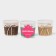 Kashpo for flowers wicker "bow" 10.5 × 10.5 × 9 cm, color mix