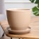 Flower coffee pot, 1 l