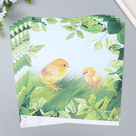 Scrapbooking paper "Chickens on the grass" density 180 g 30.5x32 cm-1