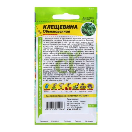 Cleshchevin seeds "Ordinary", 3 pcs.-1