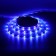 Smart LED strip Nitebird, 5V, SMD5050, 30 LED/m, 2.8 m, IP20, Wi-Fi, RGB