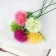 Artificial flowers "Cyriana" 5x28 cm, mix