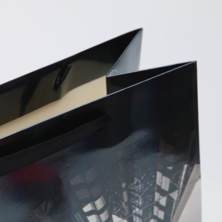 Gift Laminated Vertical, packaging, “skyscraper”, rainbow holography, m 26 x 32 x 12 cm-4