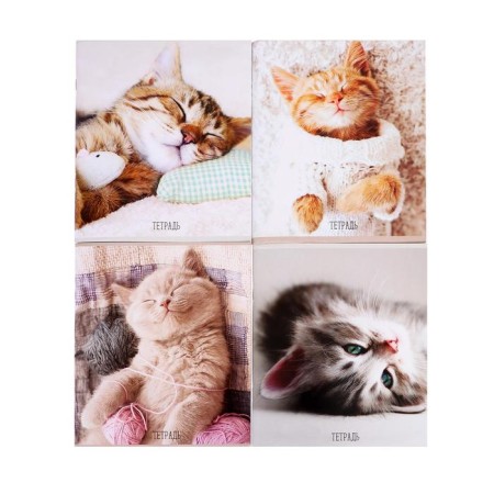A notebook of 96 sheets in Calligrata "cats", cover covering cardboard, offset unit, mix