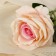 Artificial flowers "Venezuela rose" 8x23 cm, peach