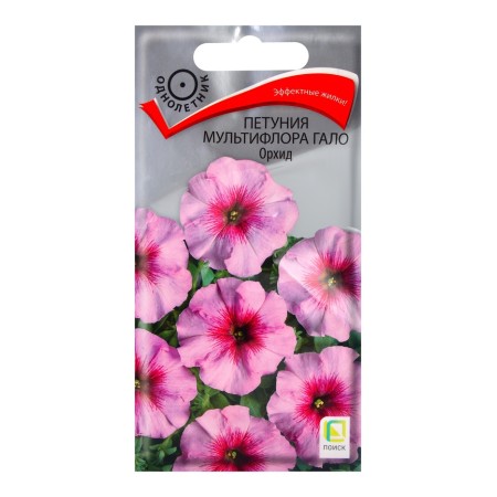 Flower flowers petunia of multiflora Galo Orchid, 10pcs