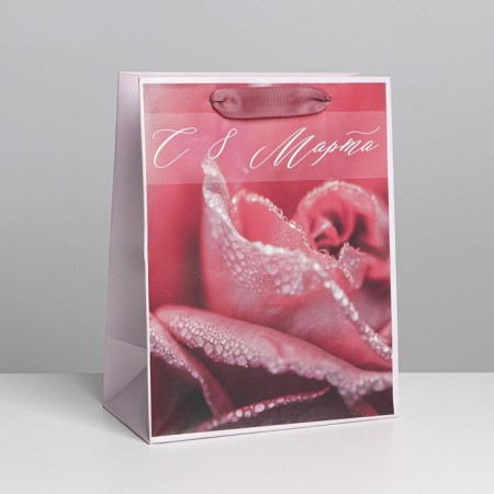 Gift package laminated, packaging, "freshness", MS 18 x 23 x 10 cm