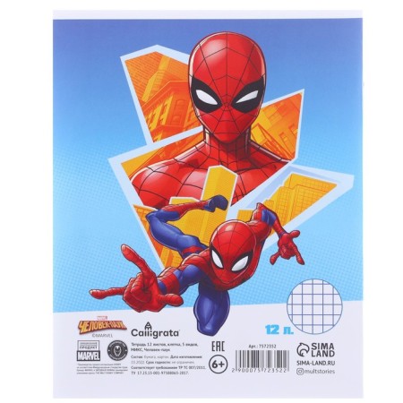 Gift set for a boy, 10 items, Spider-Man-8