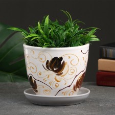Flower orchid pot 1l with a stand