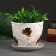 Flower orchid pot 1l with a stand