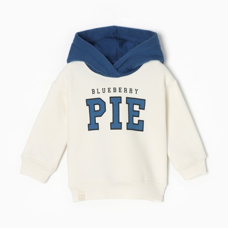 Broshka's sweatshirt I am Blueberry Pie p. 92-98, milk