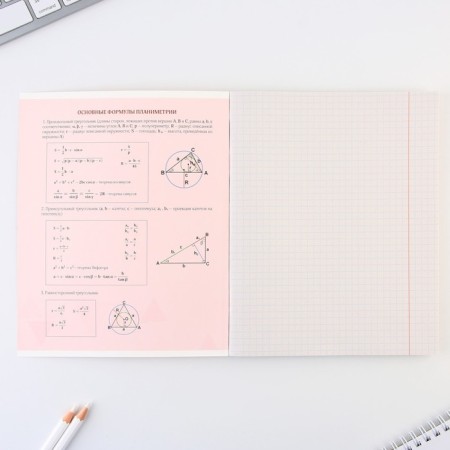 An objective note 48 sheets, A5, Minimalism, with reference materials “September 1: Geometry”, cover coated cardboard 230 gr., Inner block in a cage 80 gr., Whiteness up to 80%, block No. 2.-2