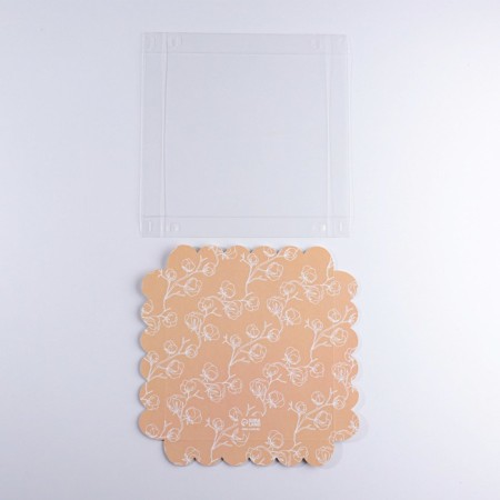Cookie box, confectionery packaging with PVC lid, “Cozy evening”, 21 x 21 x 3 cm-5