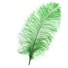 Feather for decor, length from 45 to 60 cm, green color
