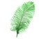 Feather for decor, length from 45 to 60 cm, green color