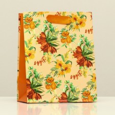 Gift package 