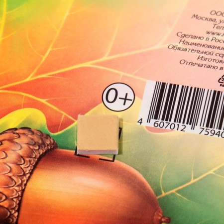 Decoration on the adhesive tape "oak" leaves, sturns, 18x18 cm-2