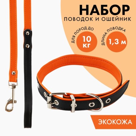 Set of a collar (58x2.5 cm) and a leash (130x1.4 cm) from eco -leather, black with orange