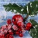 Decor "Winter charm" apple berries Greens on a branch 25 cm