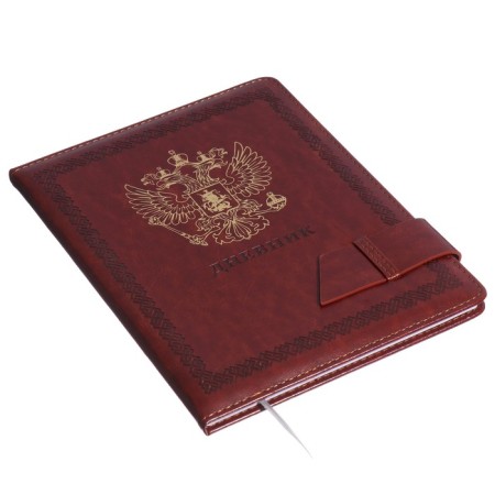 Universal diary for grade 1-11, solid cover, artificial leather, brown cover, liesse, 80 g/m2-1