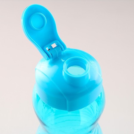 Water bottle, 1 l, 25 x 9 cm, mix-1