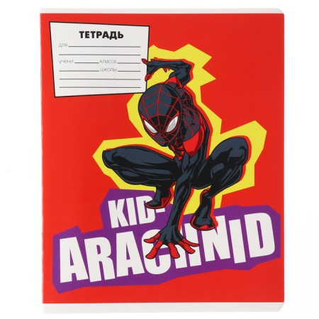 Notebook in a line of 18 sheets, 5 types of mix, cover coated cardboard, spider-man-6