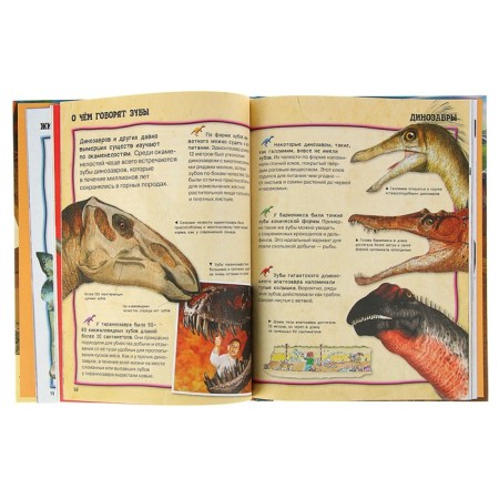 All about dinosaurs-2