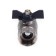 Ballic Aqualink, PN 50 tap, internal/internal thread 3/4 ", butterfly, nickel.