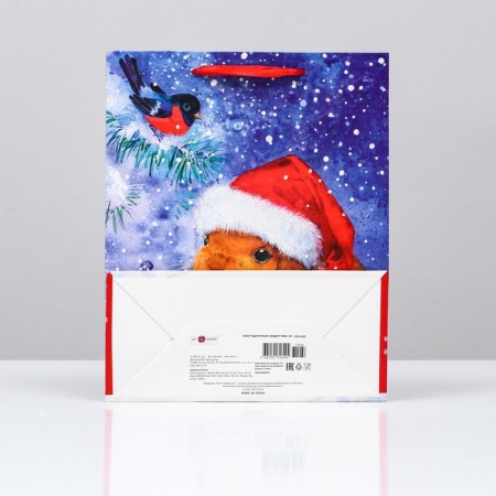 Gift package "Bunny in a hat", 26 x 32 x 12 cm-1