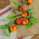 Flood "Link of apples" 5 pcs 50 cm