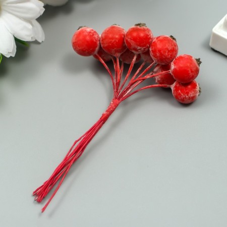 Decor for creativity "Berry of Rowan" 1 bouquet = 10 berries Red-Borded hoar 10x1.5 cm-1