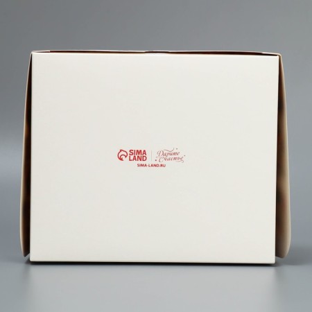 Packaging for confectionery Gorodok, 20 x 17 x 6 cm, New Year-6