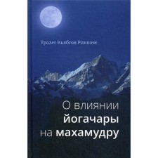 About the influence of Yogachara on Mahamudra. Trail Kyabgon Rinpoche