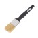 Brush flat "Akor" standard, natural bristles, plastic handle, 35x6 mm