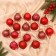 Set of balls plastic D-5 cm, 16 pcs "Festival" Red