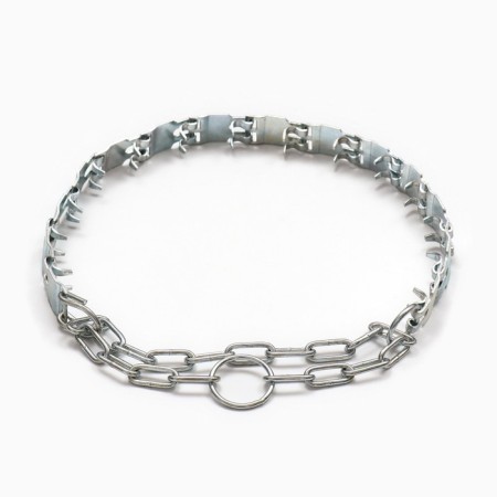 The collar is strict plate, 2.5 cm, Osh 50-65 cm-1