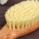 Dry massage brush, natural tampico, 79 bundles