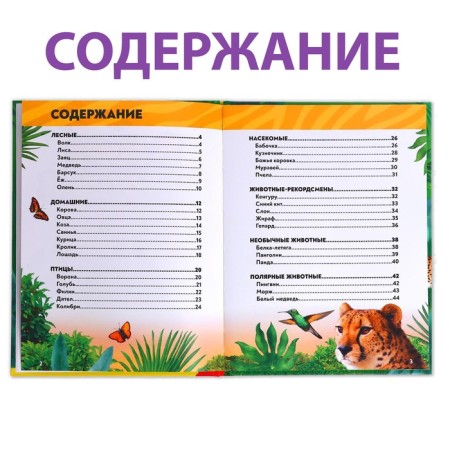 Фотоэнциклопедия для детей «В мире животных», 48 стр.-2