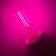 LED phytolamps, for plants, A60, 8 W, 360 °, Philaement