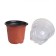 Pot for seedlings with a lid, 250 ml, d = 9.5 × 15 cm, (packing 5 pcs.) Greengo