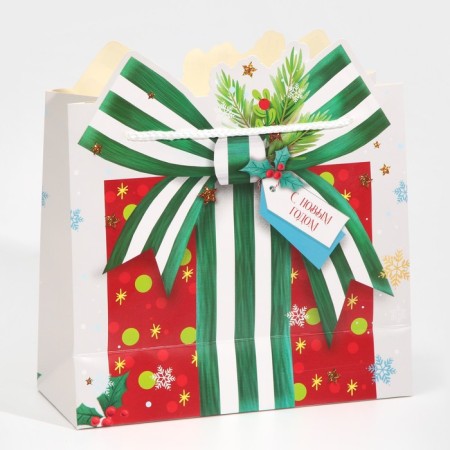 Package Gift "Gift", 25 x 26 x 10 cm, New Year-3