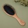 Massage comb “SWAR”, 7 × 22 cm, color “Light Wood”/Black