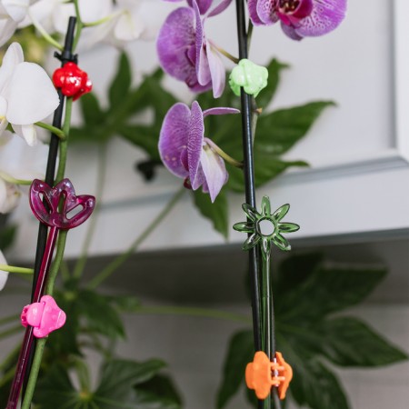 Support for orchids, h = 44 cm, plastic, green, mix-5