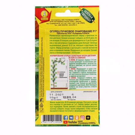 Seeds of cucumber "bundle charm", f1, c/n, 10 pcs-1