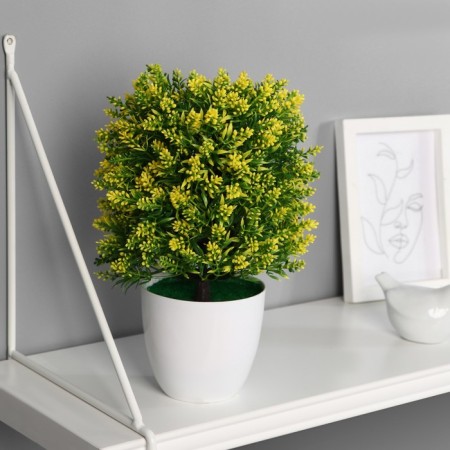 Bonsai in a pot "Push a tree with flowers" 12x25 cm, mix
