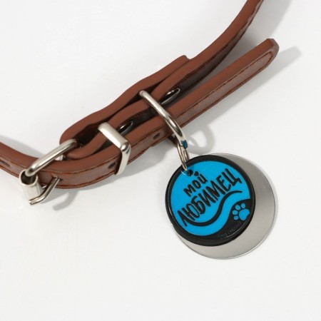 Dog collar "My favorite" with an addressee, Osh 27-34 cm-2