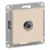Television socket SE AtlasDesign 1DB, terminal, mechanism, beige, Atn000291