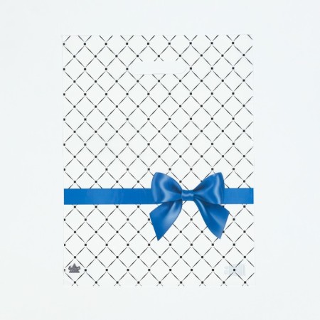 Blue bow package, polyethylene, with a cut pen, 40 x 31 cm, 30 μm