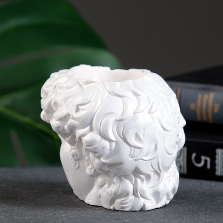 Kashpo - organizer "Head of David" Pearl, 9x9x9cm-3