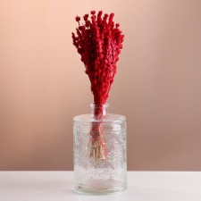 A set of dried flowers 